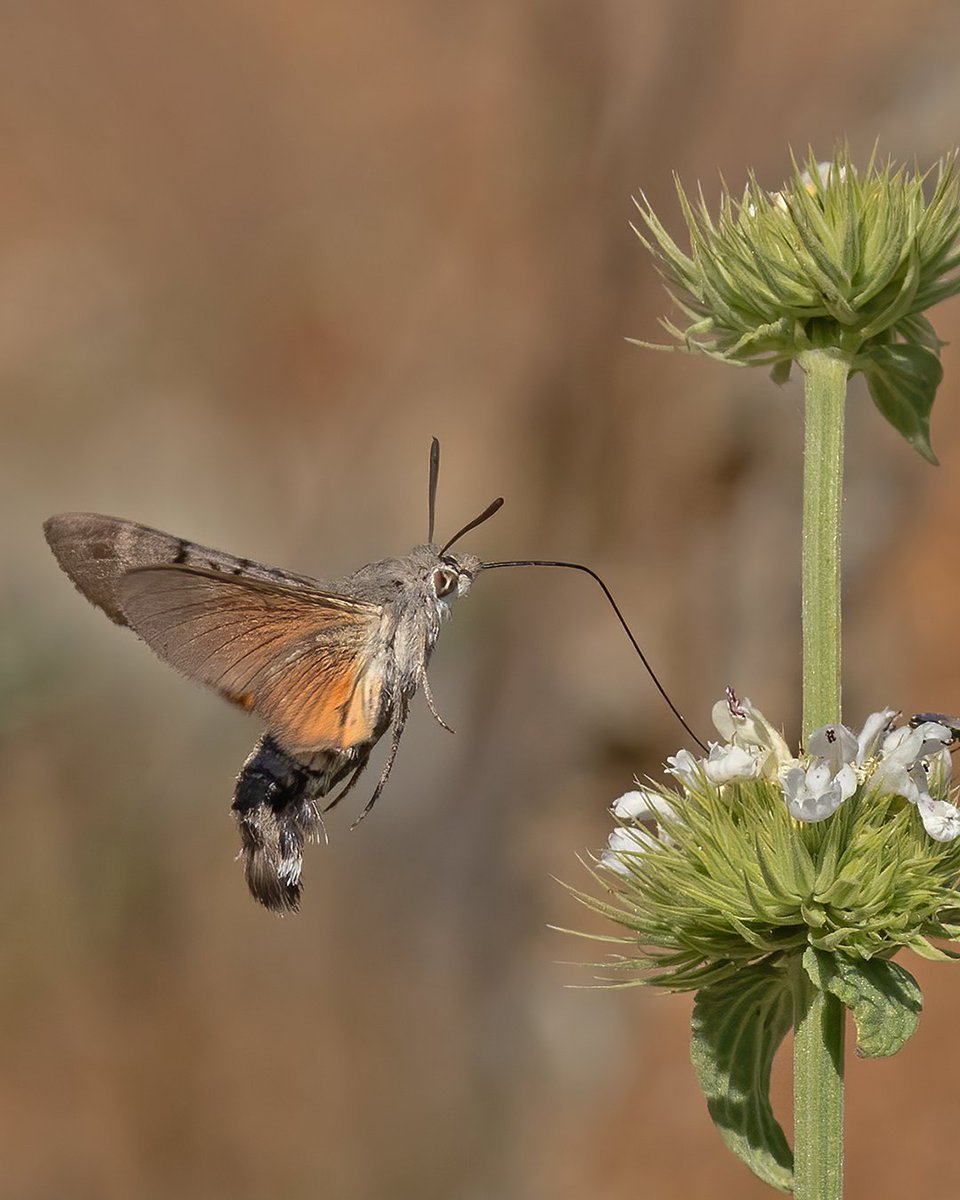 Dün ben de biraz çalıştım