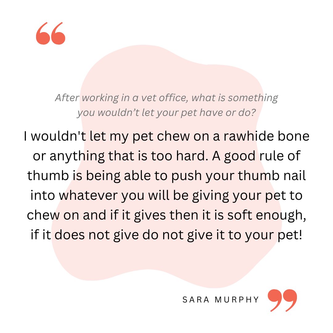 #SaturdaySpotlight Today we shine our spotlight on Sara Murphy from AZPetVet Dove Valley