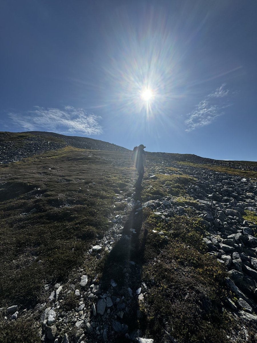 Mr Robertson tweet media