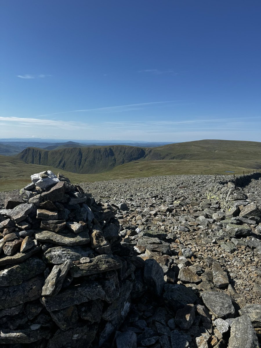 Mr Robertson tweet media