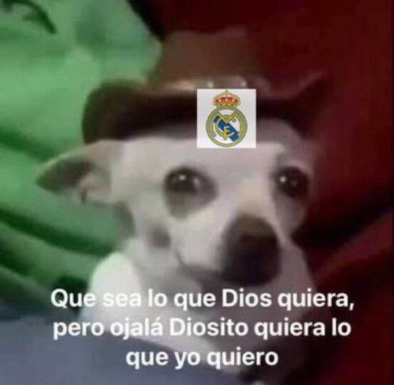 Rodrigo_Nunio's tweet photo. Paro plis https://t.co/fxZExTl0n3