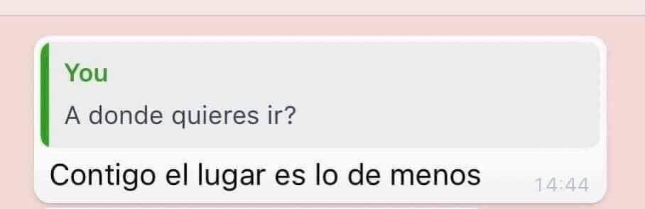 Tumblr† tweet media