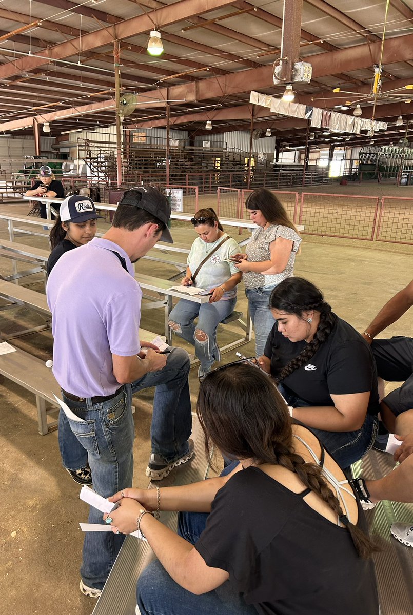 Galena Park FFA back at it again! Showing the girls what to expect during the Fredericksburg Lamb Auction. @GPHS_GPISD @GalenaParkCTE