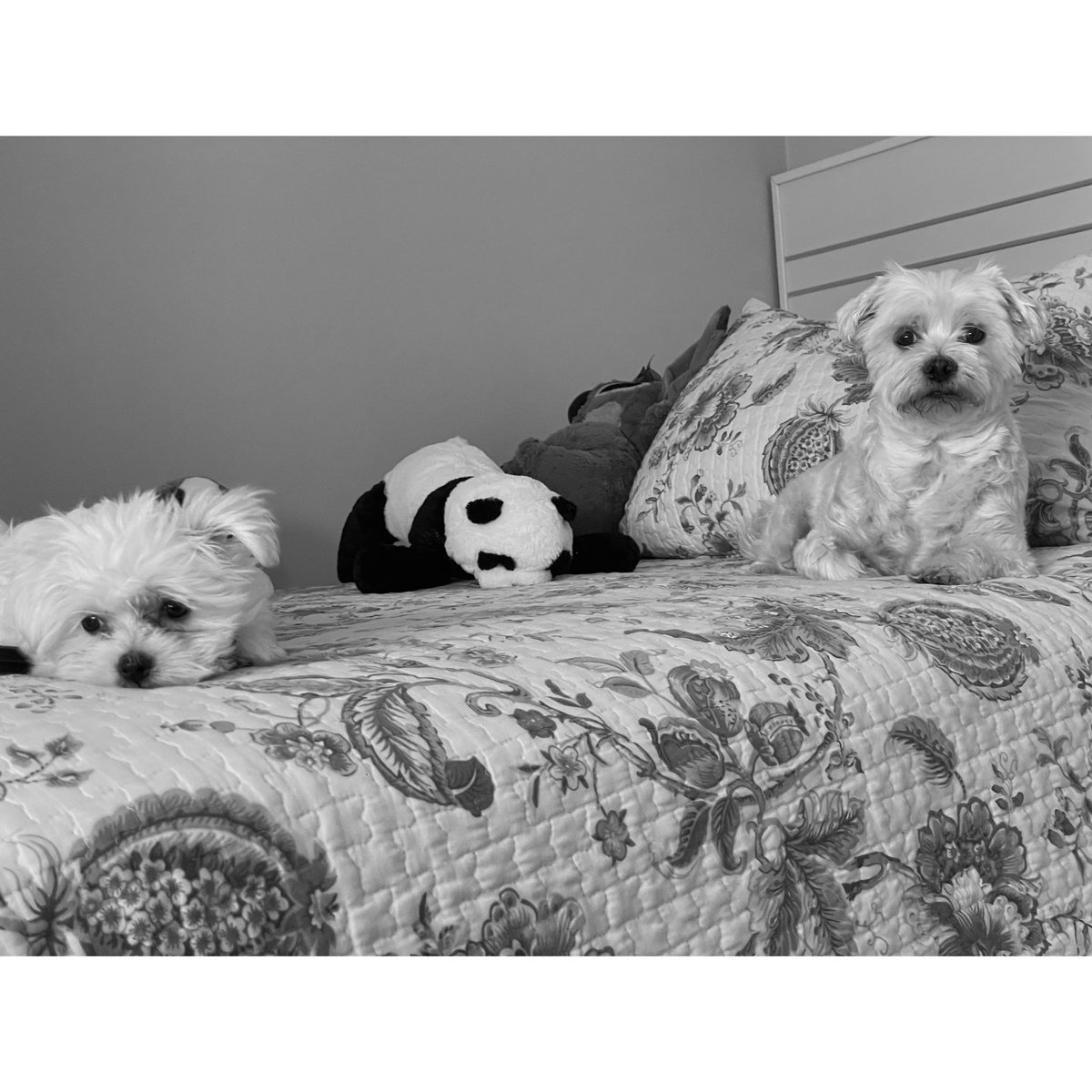 Lo mejor de mi vida junto a ti <a href="/maricarmenfloor/">maricarmen florrr</a> ❤️‍🩹