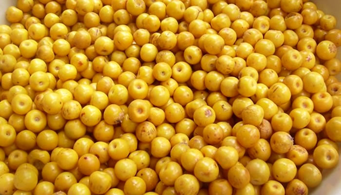 DesGuerreiroJr's tweet photo. O Maranhão, com suas heranças indígenas e influências europeias, tem cozinha rica e cheia de sabor, tanto nos pratos salgados quanto nas sobremesas. Características nas frutas típicas como o Abacaxi de Turiacú, Juçara, Pitomba, Buriti, Seriguela, Murici, Cajá e tantas outras. https://t.co/zBavwGGL2r