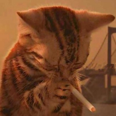 lavinskis60815's tweet photo. @AlchemistOG69 It's OVER for him
$OVER
@ItsOverCat https://t.co/ZQv1LPE6wk