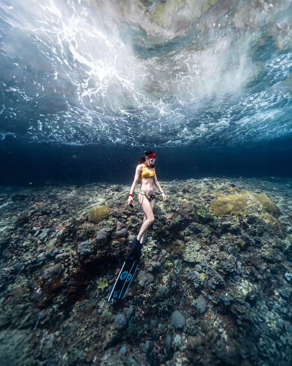 Nature is not a place to visit. It is home.
⠀
📸 @nnn_freediving 
🧜🏻‍♀️ @nnn_freediving_nilly 
⠀
#alchemy #alchemyfins #freediving #alchemyv3 #underwaterphotography #freedive #carbon #carbonfins #bifins #diving #ocean #nature #fitness #explore #freedivingphotos #watersports