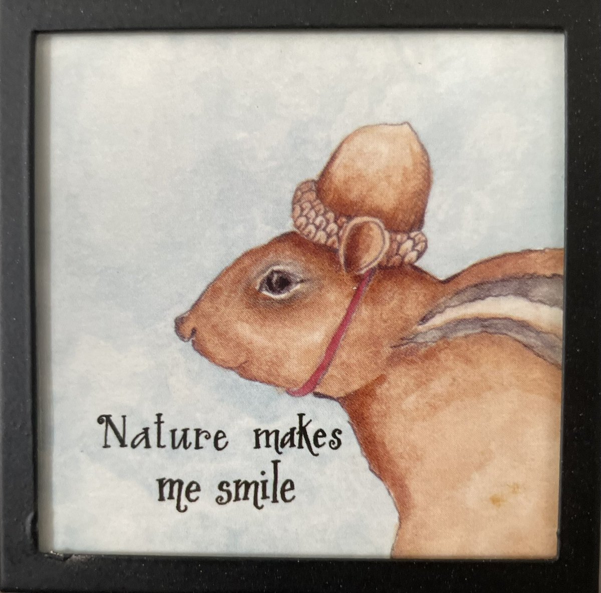 Squirreltology tweet media