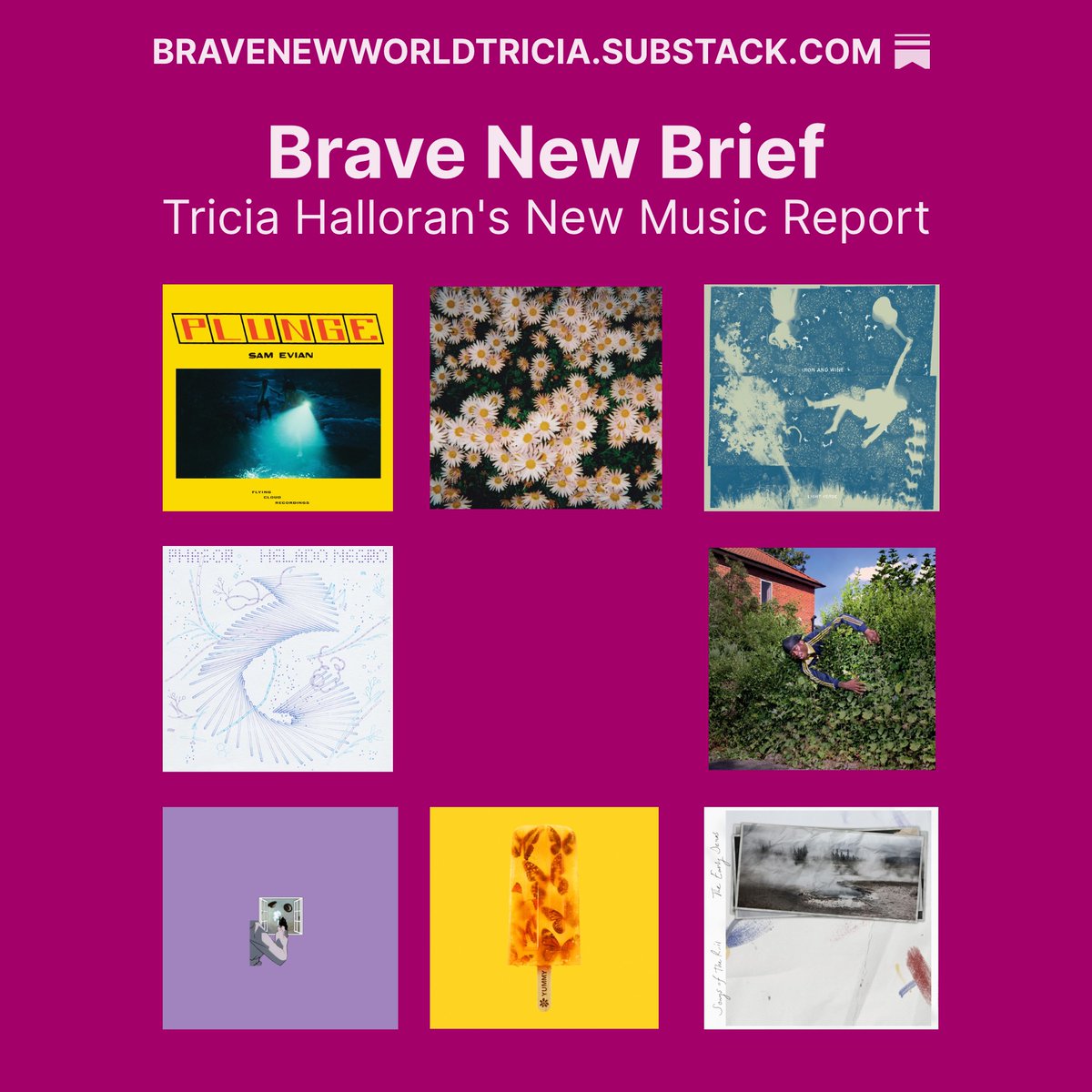 Tricia Halloran tweet media