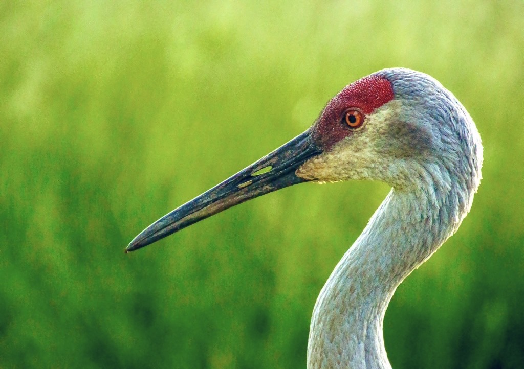 AdmiredArt tweet media