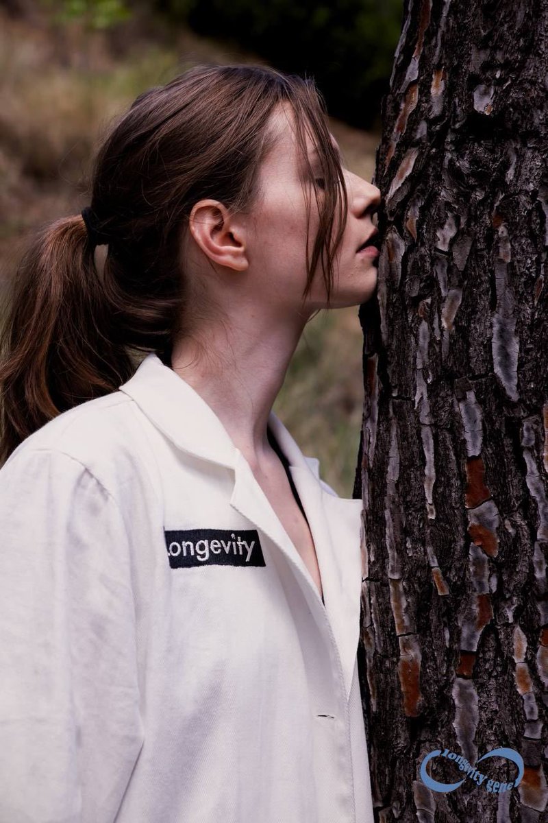 Longevity ACC tweet media