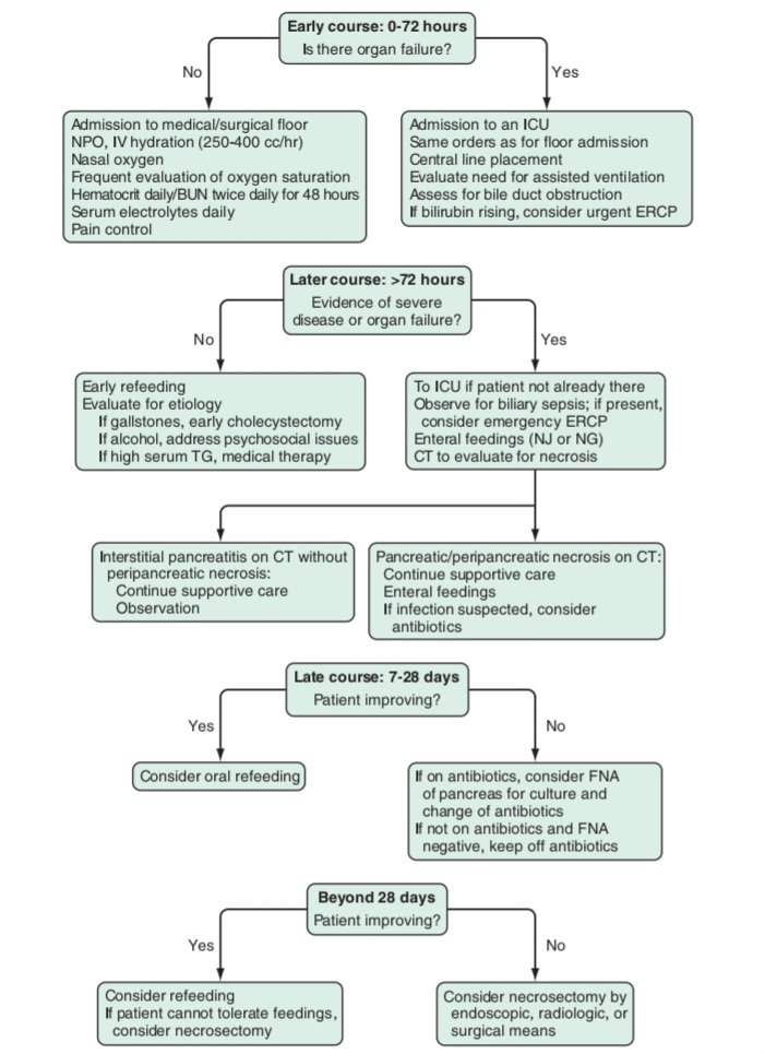 docakx's tweet photo. 🌟 Acute Pancreatitis - Management👇

🔸️S. Amylase &amp; S. Lipase levels can be normal in hypertriglyceridemia induced acute pancreatitis https://t.co/Dnl1yv5XwL