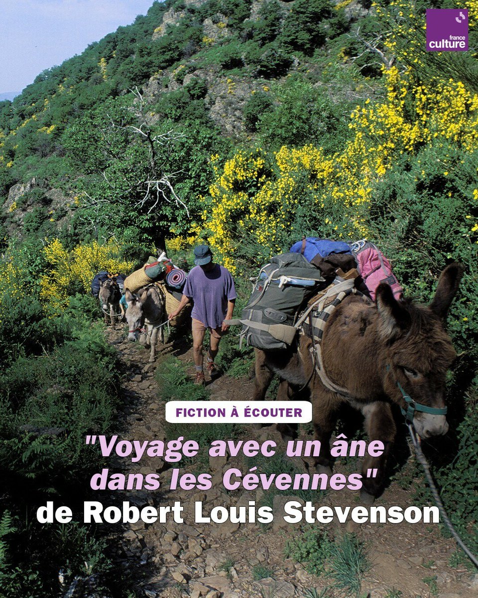 franceculture's tweet photo. En 1878, Stevenson traverse à pied les Cévennes, avec Modestine. Écoutez le récit de ces 12 jours, après avoir parcouru près de 200 km. Un classique !
➡️ https://t.co/Sd3gqpDsjP https://t.co/4BrZP6xkJG
