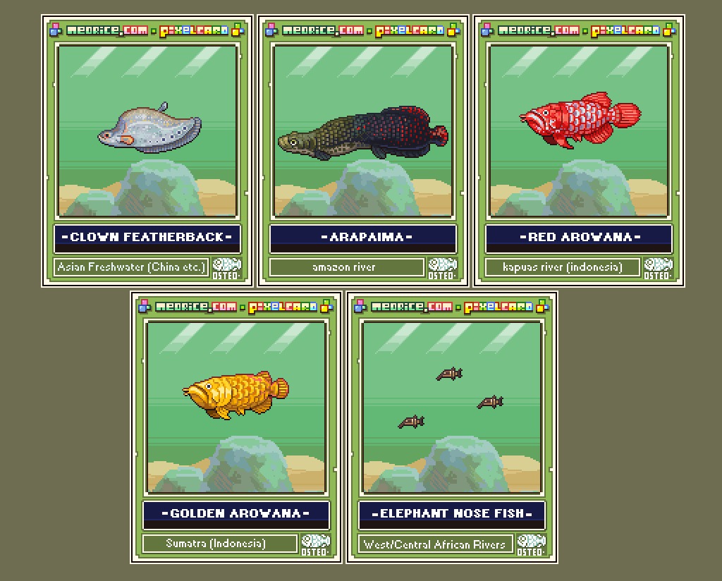 Neoriceisgood tweet media