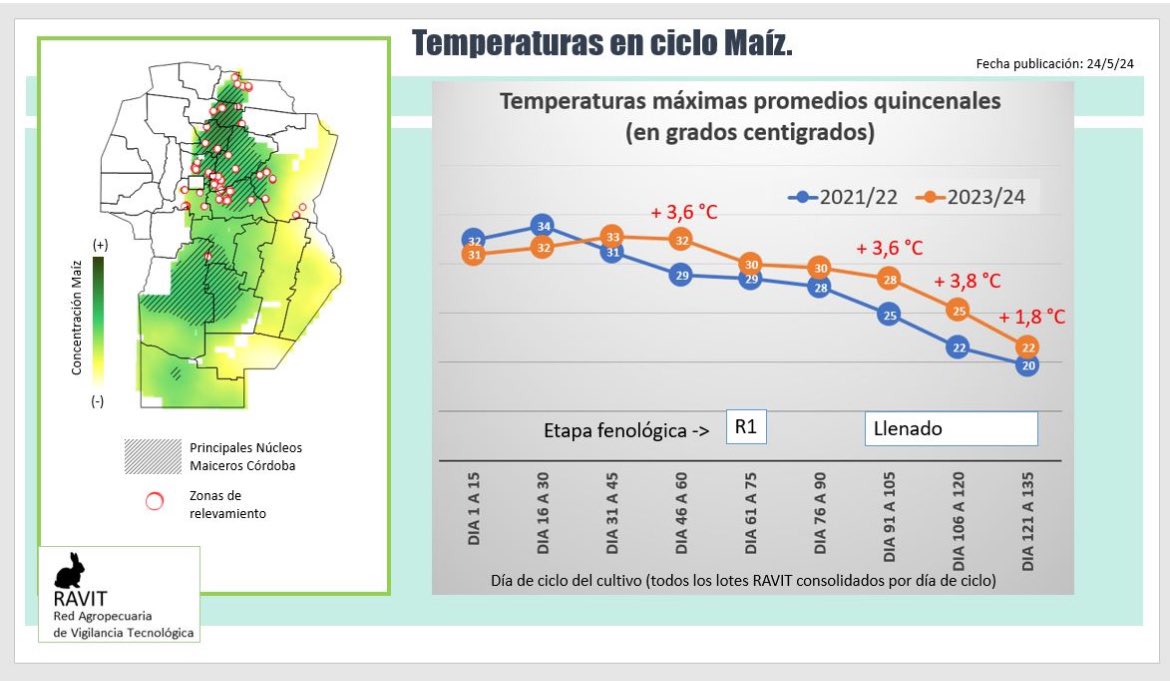 <a href="/JorgeLMercau/">Jorge Mercau 🇦🇷</a> <a href="/maguilarbenitez/">Mario Aguilar 🌽🐖 🐂♻️🧉</a> <a href="/RodrigoRamirezC/">Rodrigo Ramírez C</a> <a href="/bertellof/">Fernando Bertello</a> <a href="/marcosblanda/">Marcos Blanda</a> <a href="/hhdospierre/">Hector A. Huergo</a> <a href="/corteva/">Corteva Agriscience</a> <a href="/PioneerSemillas/">Pioneer Semillas</a> <a href="/SarlangueTomas/">Tomás Sarlangue</a> <a href="/Tino_DeRossi/">Roberto De Rossi</a> Miren… para hacer el gráfico se alinearon 70 lotes por día de ciclo.. y se graficó la temp máxima promedio de a 15 días.. Campaña 23/24 vs 21/22 (porque la 22/23 ya fue muy rara en temp).. solo un dato.. pero hay + 3,5 grados en llenado!