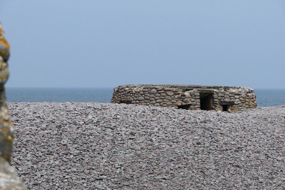 A trip to Bossington this morning on 1st  day of June. Thrift, parascenders, wild roses and I think the little pillbox knew something about it.. #porlockbay