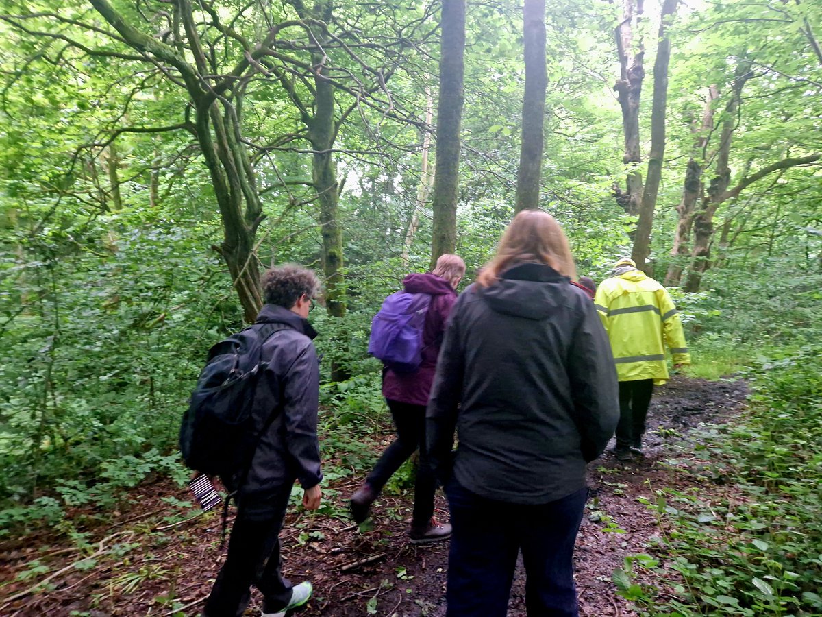 Friends of Bailey's Wood (@baileyswoodmcr) on Twitter photo 🧚 We were back in the woods on Wednesday evening for our Dark Fairy Folklore Walk (part of <a href="/GmWalks/">GM Walking</a> Festival). Hannah led us into the forest for stories of changelings, unseelie courts, wild hunts and Tam Lin. 🧚 🧚 We were back in the woods on Wednesday evening for our Dark Fairy Folklore Walk (part of <a href="/GmWalks/">GM Walking</a> Festival). Hannah led us into the forest for stories of changelings, unseelie courts, wild hunts and Tam Lin. 🧚