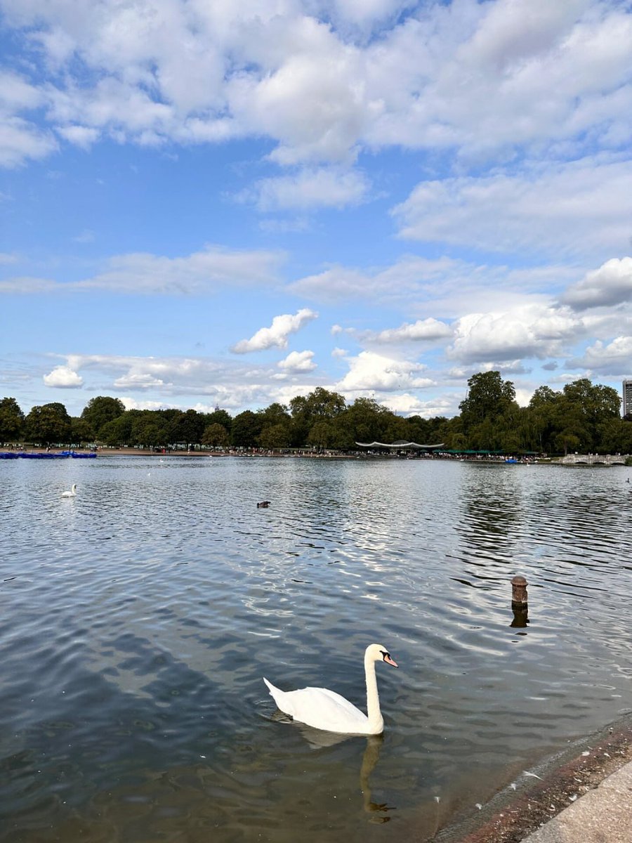 CngrCangr's tweet image. Big city, bigger dreams🥰
Live, Love, London❤️😉