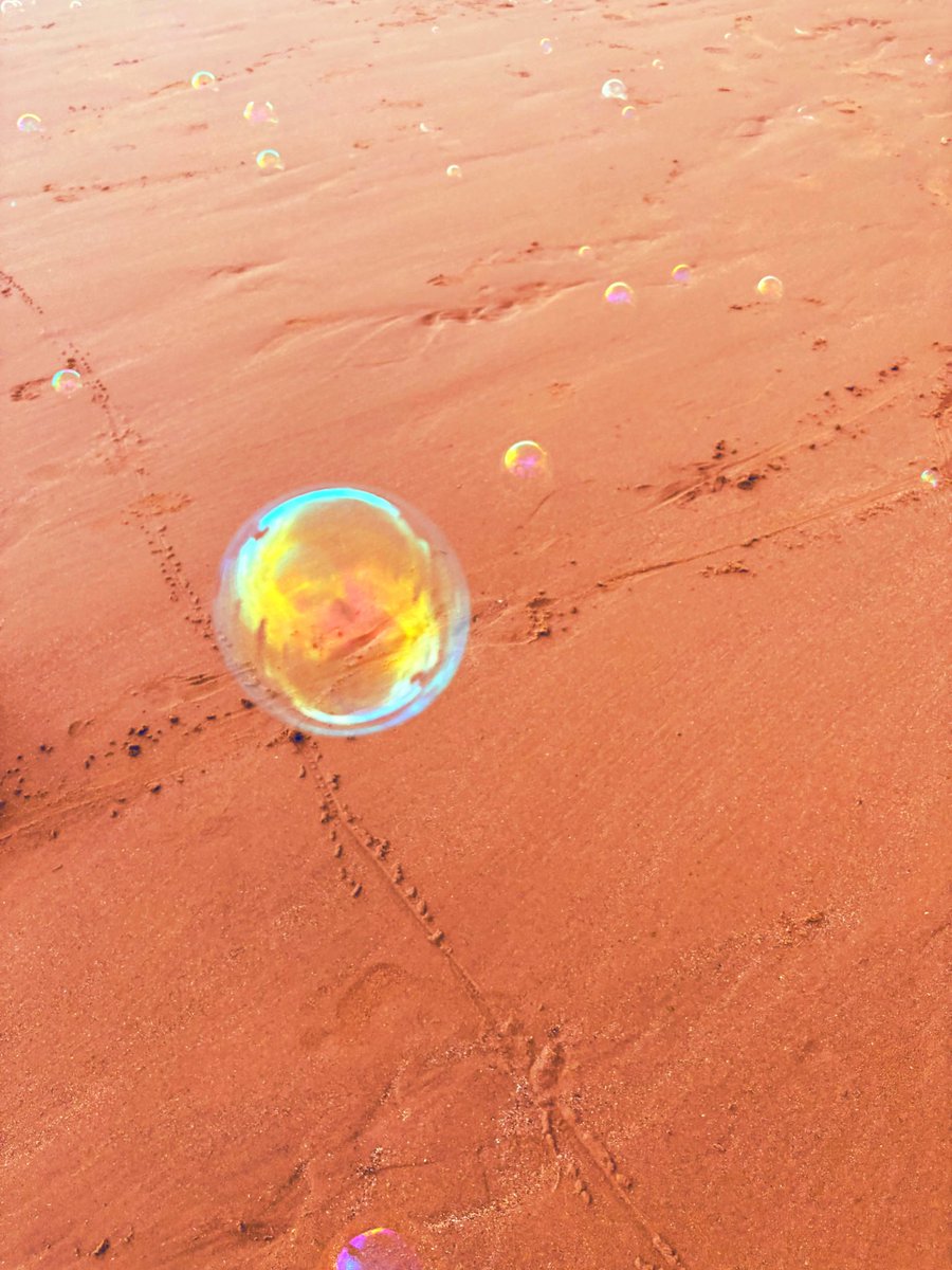 Stopyral tweet media