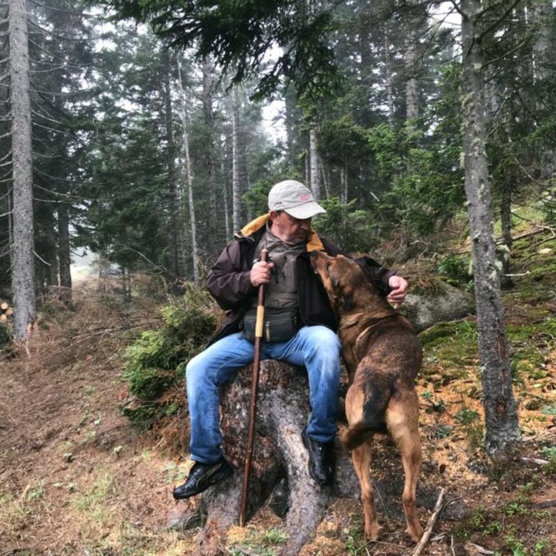 serefoguz's tweet photo. HAYVANLARI ÖLDÜRMEYİN
Sevgi;
Ne bir bedene ihtiyaç duyar,
Ne de bir nedene...
#HayvanKatliamıİstemiyoruz #potam #köpek #kedi #sokakhayvanlarisahipsizdeğildir #uyutulmasın #SokaktayımYanındayım #sevgi #hayvan @serefoguz