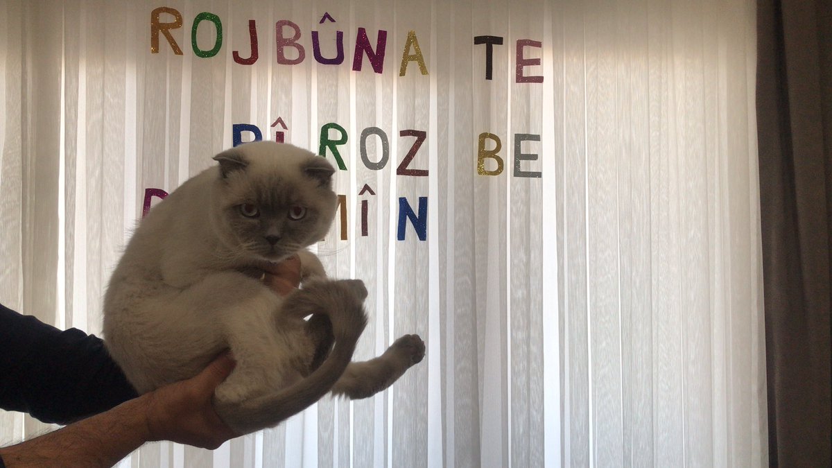 <a href="/mehmetyun4/">mehmet</a>   ❤️❤️