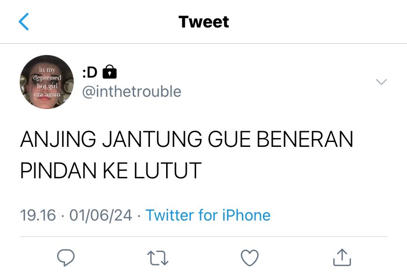 zeya tweet media