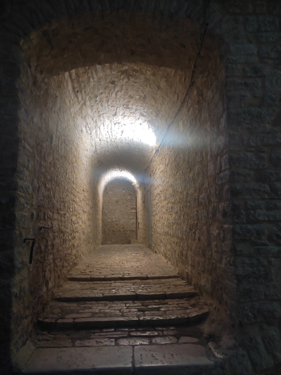 spadanuda's tweet photo. «Che ora è questa che saluta/
il muro sbiadito con calda luce/
e silenzioso cenno,/
e sommuove l'aria tremante di giugno?» (Attilio Bertolucci). #Attilio #Bertolucci #giugno #poesia https://t.co/VR93f1aYEq