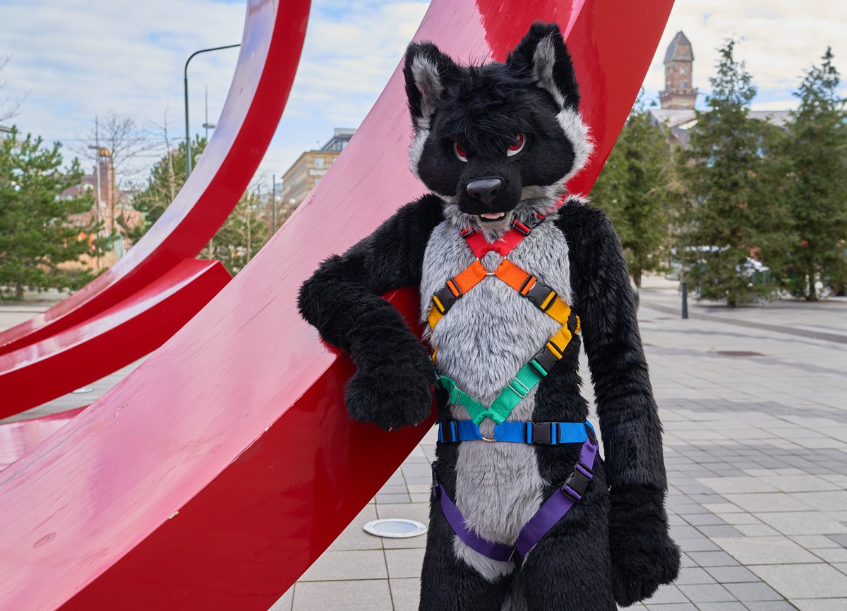 HAPPY PRIDE MONTH
❤️🧡💛💚💙💜

Added a whole new category for rainbow harnesses to our website, including this new design! 🥰 

Check em out! : tinyurl.com/4s8ndahb