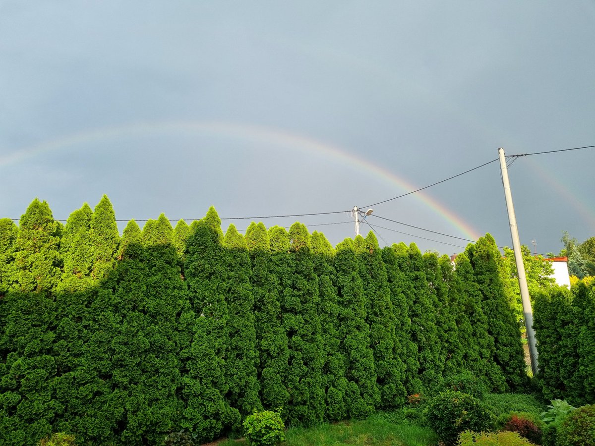 mikolajperz's tweet image. Happy Pride Month! 🌈 ❤️