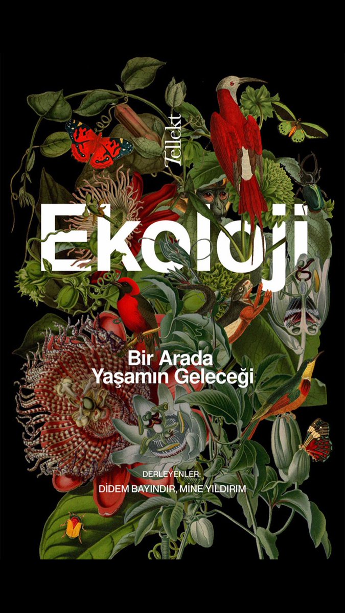 Bizim bu kitabı duymayan var mı? :)
Geçen hafta birkaç kişi "aaa benim haberim yok deyince" hatırlatmak istedim. Didem Bayındır <a href="/didem__bayindir/">Didem Bayındır</a> ve Mine Yıldırım'ı <a href="/yildmine/">Mine Yıldırım</a> derlediği "Ekoloji: Bir Arada Yaşamın Geleceği" <a href="/tellekt/">Tellekt</a> 'ten çıktı. Kitap, 21 yazıdan oluşuyor. Ben de