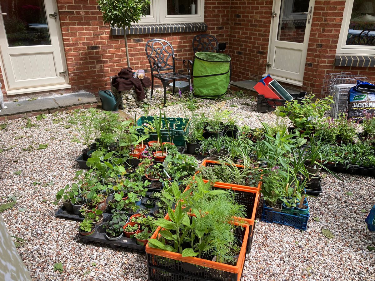 FriendsOfChisRec (@focrg) on Twitter photo Itโs TOMORROW and a look at those gorgeous plants our Gardening Club have grown and will sell tomorrow ๐ป Over 400! All the proceeds will be going to our beautiful Rec.
<a href="/idverde_Bromley/">Bromley Parks</a> <a href="/VisitChis/">Visit Chislehurst</a> Itโs TOMORROW and a look at those gorgeous plants our Gardening Club have grown and will sell tomorrow ๐ป Over 400! All the proceeds will be going to our beautiful Rec.
<a href="/idverde_Bromley/">Bromley Parks</a> <a href="/VisitChis/">Visit Chislehurst</a>