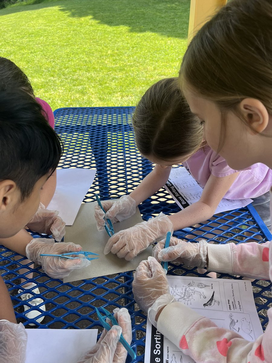 JMillerNHSSD's tweet photo. Just wrapped up an awesome pellet dissection in fourth grade! The kids loved learning and discovering what's inside!!#ScienceMind #FutureScientists 🦉🔍 https://t.co/BzTKI5wqXi