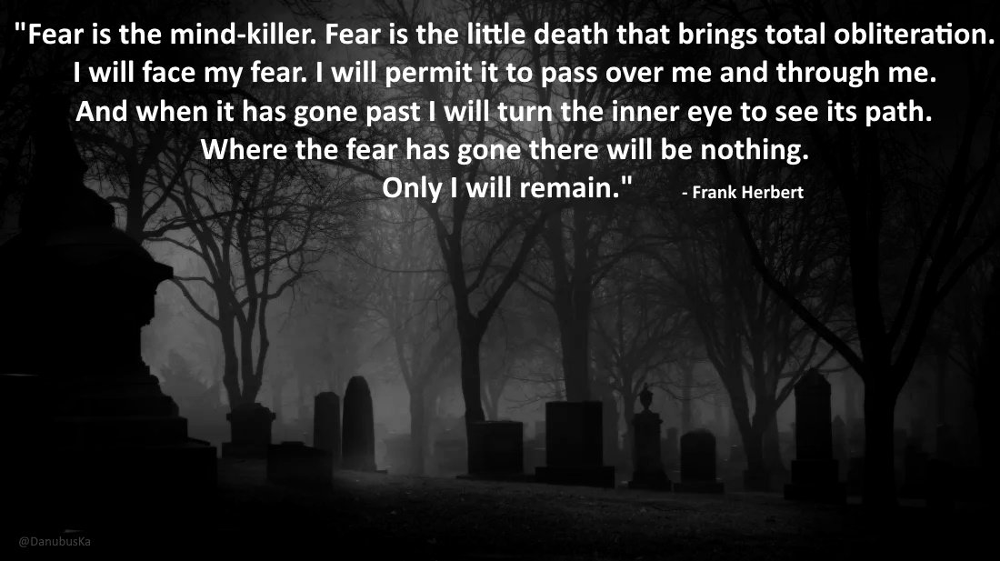 catmrow0's tweet image. What will you tell future generations that you did to fight for their freedoms? Will you stand against the tyrants seeking to dictate every aspect of our lives- or bow down because you're afraid of retribution?

I WILL FIGHT 🇺🇸 NO FEAR

#SpreadTruth 🔥