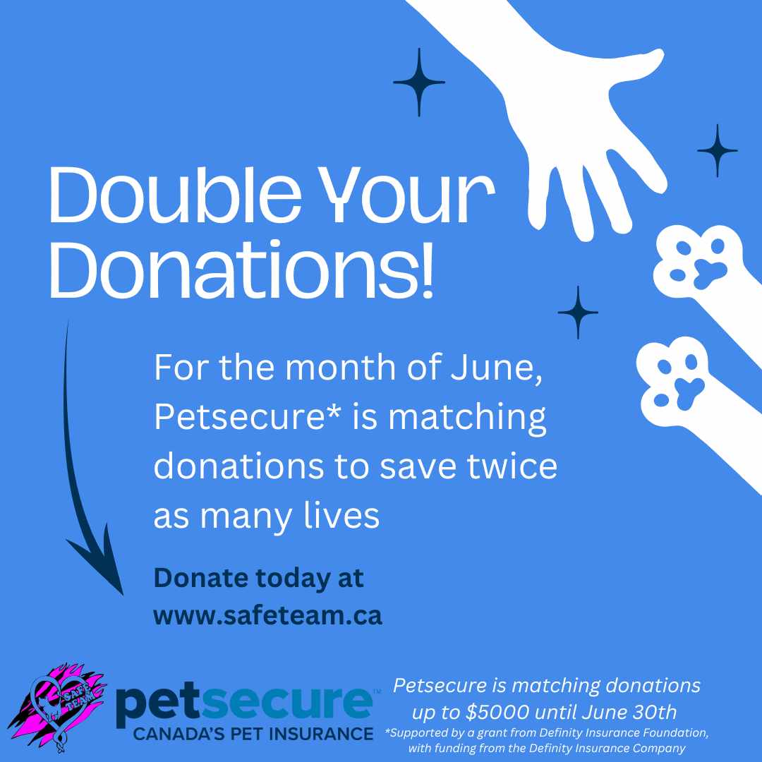 We have the purrfect opportunity for you to double your impact and save twice as many lives with our brand mew fundraiser! For the month of June, Petsecure* will be matching your donations made to SAFE Team! 

#petsecure #definityfoundation #safeteamrescue #yegcats #donatetoday