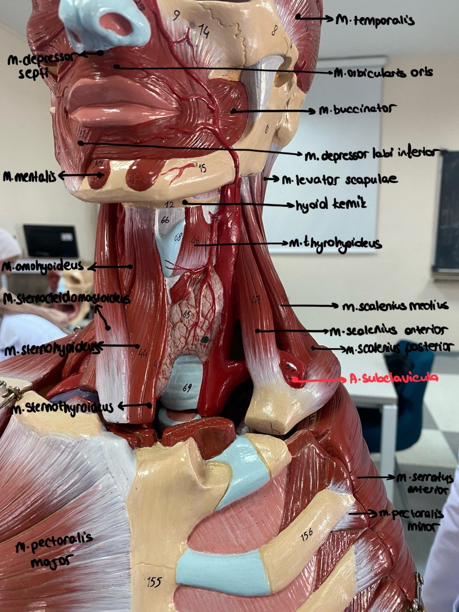 Rojin 18 yaşında tıpı bırakmak istiyor