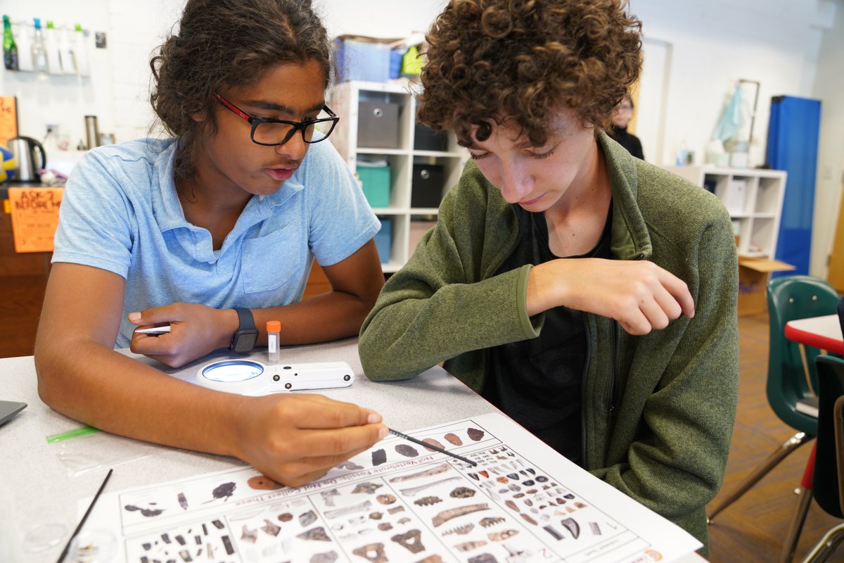 Lindsay Zanno tweet media