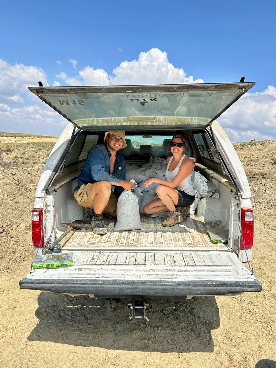 Lindsay Zanno tweet media