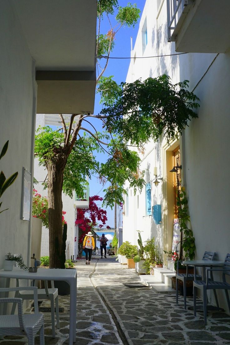AnemosTours's tweet image. Trading deadlines for turquoise waters &amp;amp; stress for sunshine in the Greek Islands. Paradise awaits! 🇬🇷 #IslandLife #GreekEscape #RechargeMode dlvr.it/T7j5y1
