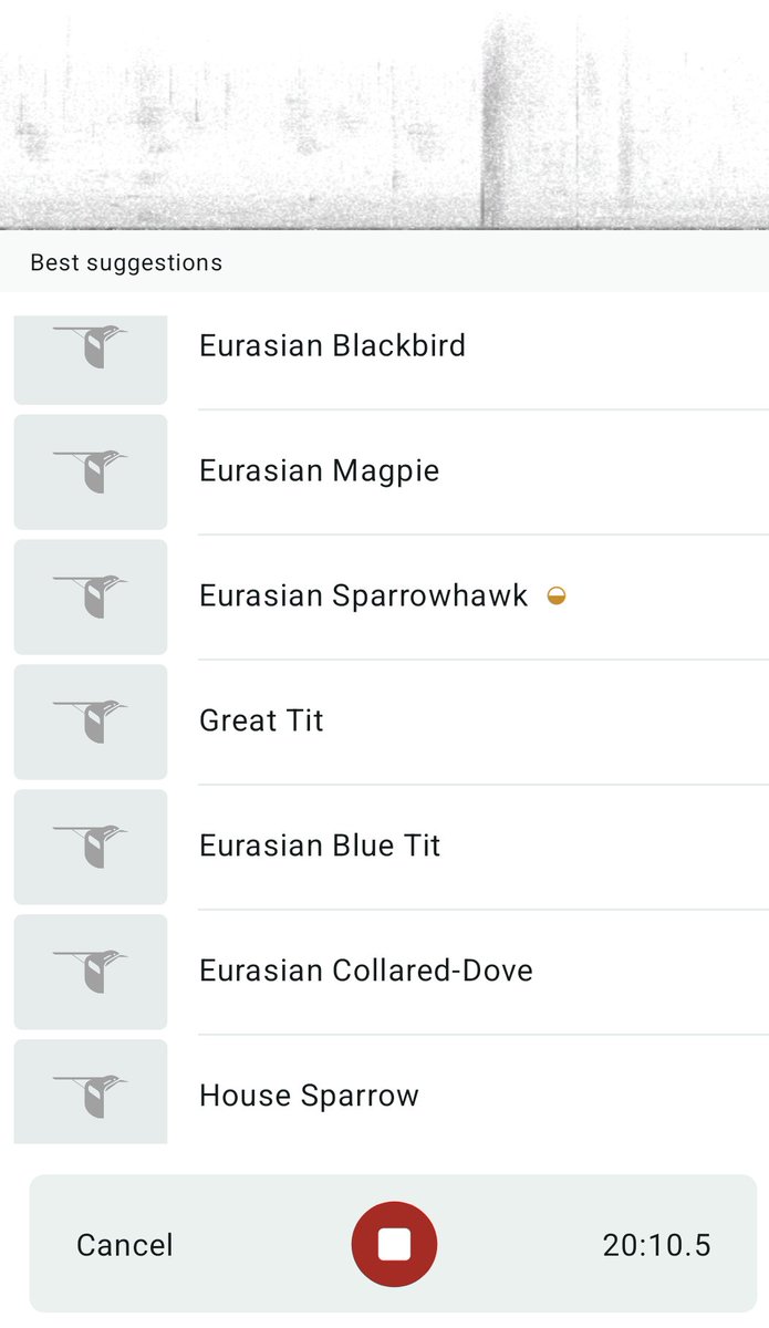 Susan Kelleher (@kellehersan) on Twitter photo I have just discovered the Merlin Bird ID app. It's incredible!! It can make out even the tiniest bird sound and identify it. I heard all the ones below over 20 mins while sitting in my garden enjoying the sun this evening. One for you <a href="/keene_chemistry/">Tony Keene ๐ช๐บ๐ฎ๐ช๐บ๐ฆ</a> <a href="/shanedbergin/">Shane Bergin</a>? I have just discovered the Merlin Bird ID app. It's incredible!! It can make out even the tiniest bird sound and identify it. I heard all the ones below over 20 mins while sitting in my garden enjoying the sun this evening. One for you <a href="/keene_chemistry/">Tony Keene ๐ช๐บ๐ฎ๐ช๐บ๐ฆ</a> <a href="/shanedbergin/">Shane Bergin</a>?