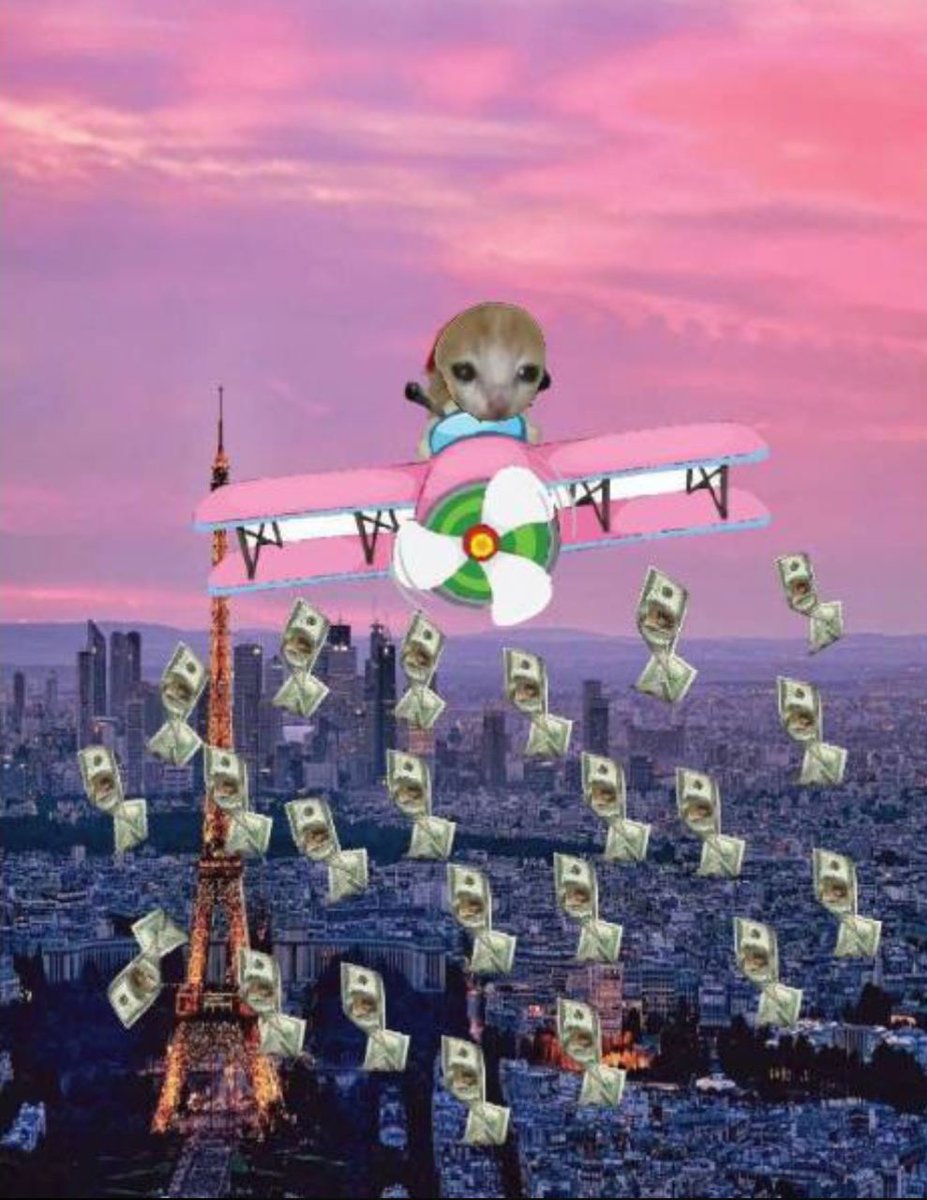 mcstevieg's tweet image. Enter the $mini airdrop campaign today x.com/minigangsolana…