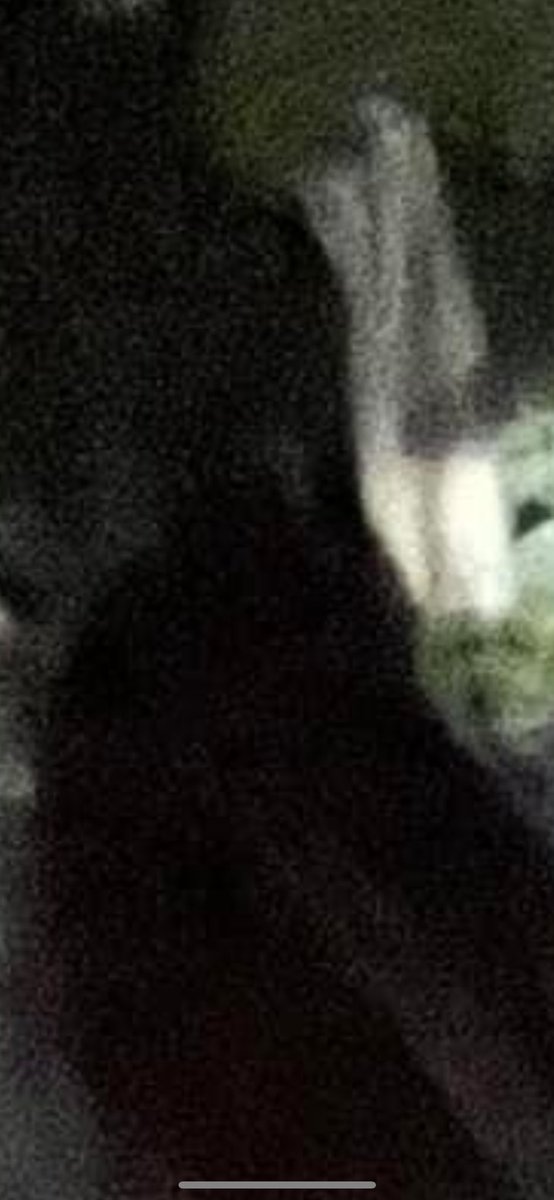kelsiidaviess's tweet photo. Have always tried to explain these shapeshifting entities. Typically a collection of negative energy that manifests itself in many different ways. We finally caught one in a photo 👁️ https://t.co/3znzTZBO6O