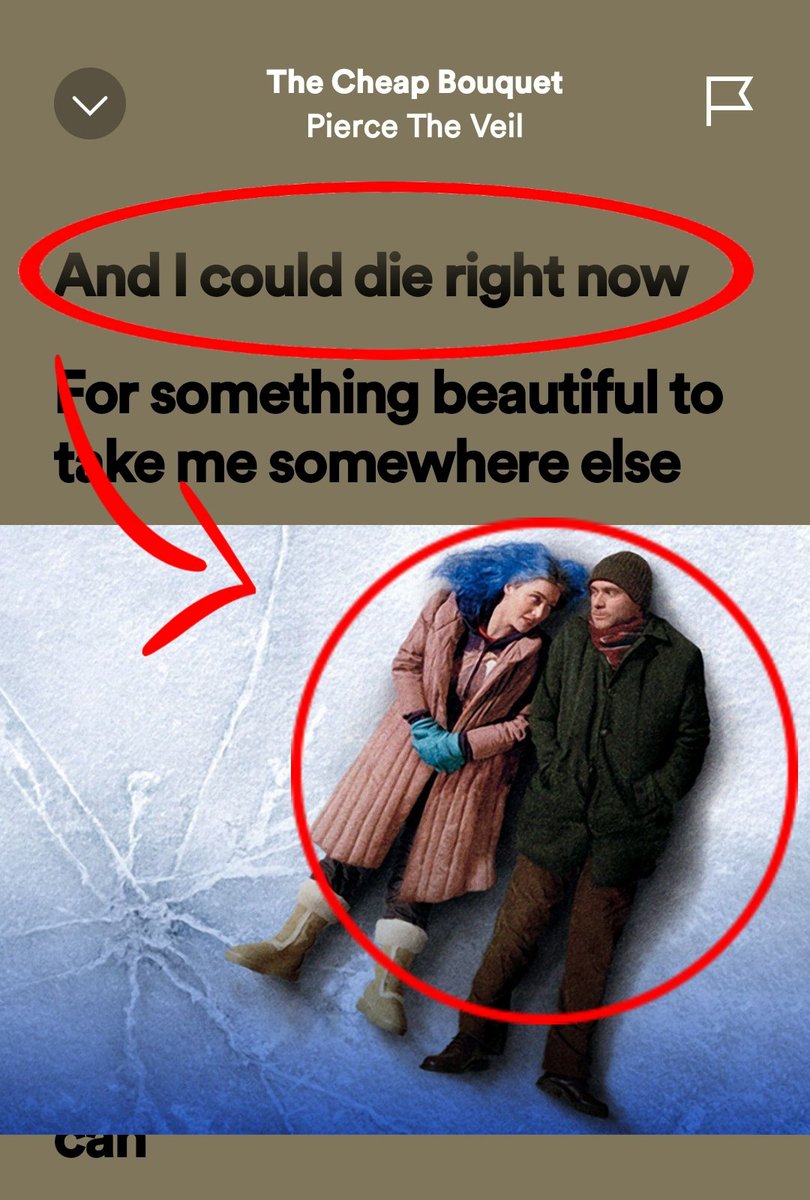 Tomb 🦈🪼 tweet media