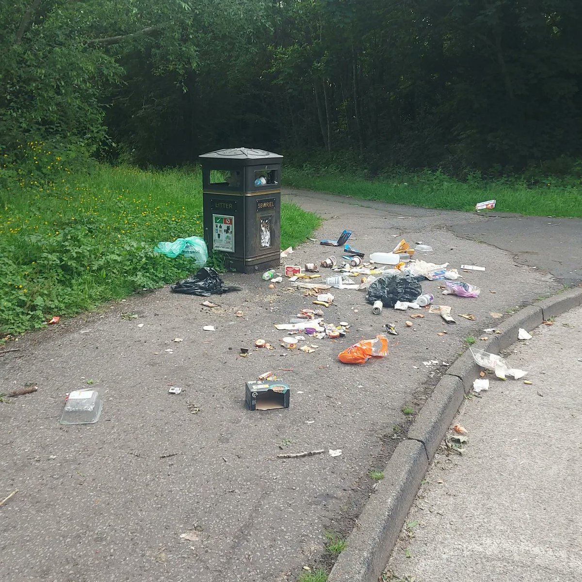 Kittylitterpic1's tweet photo. Some disgusting person keeps fly tipping black bags full of food and mixed waste by the bin! The seagulls then rip open the bags, its almost a daily occurrence on Pentwyn Drive. Took me 15 mins to clean it up . #flytipping #litterlouts #cleanupyouract #keepcardifftidy https://t.co/z27D7rvXT7
