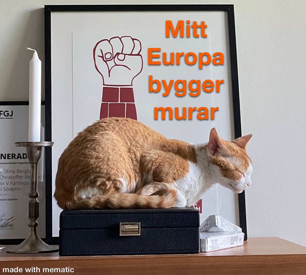 TEklf's tweet photo. @KarlssonMax https://t.co/GL9DZY2H1w