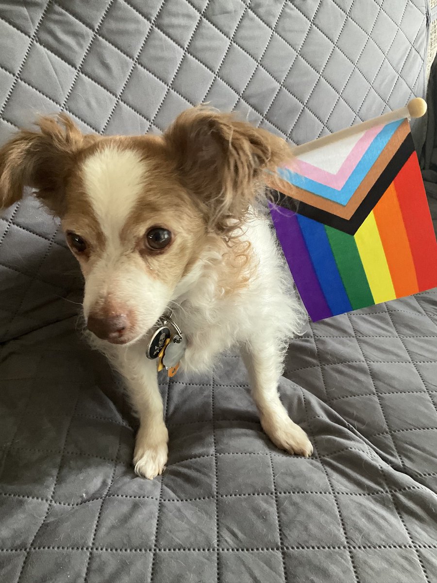 Happy Pride Month! #Pride2024