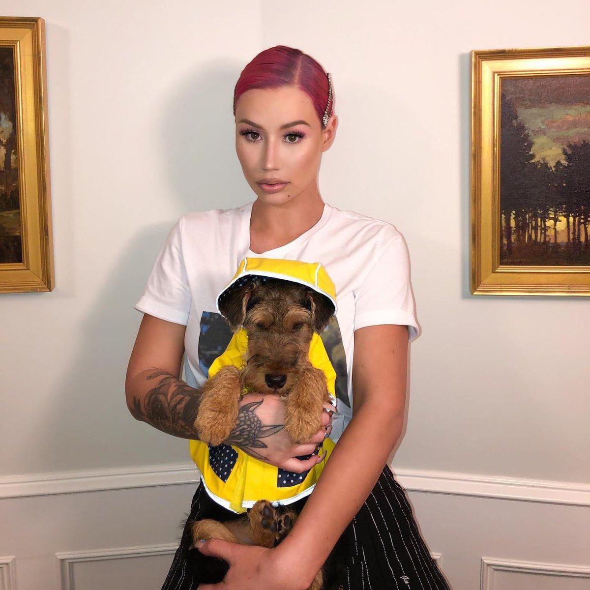 So $MOTHER is at $70M and @IGGYAZALEA dog $BAM is at $1m I like the odds here, longing this doggo