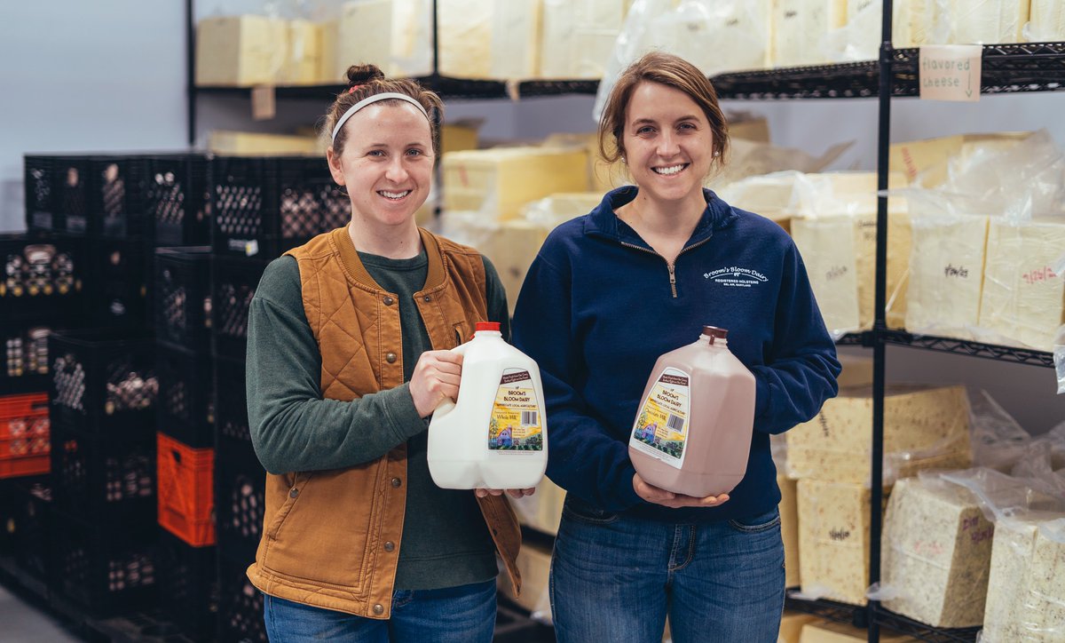 It's #WorldMilkDay! 🥛 Let's raise a glass to Maryland's dedicated dairy farmers and our state's 300+ dairy farms that bring fresh milk to our tables. 📸 | Brooms Bloom Dairy in Bel Air