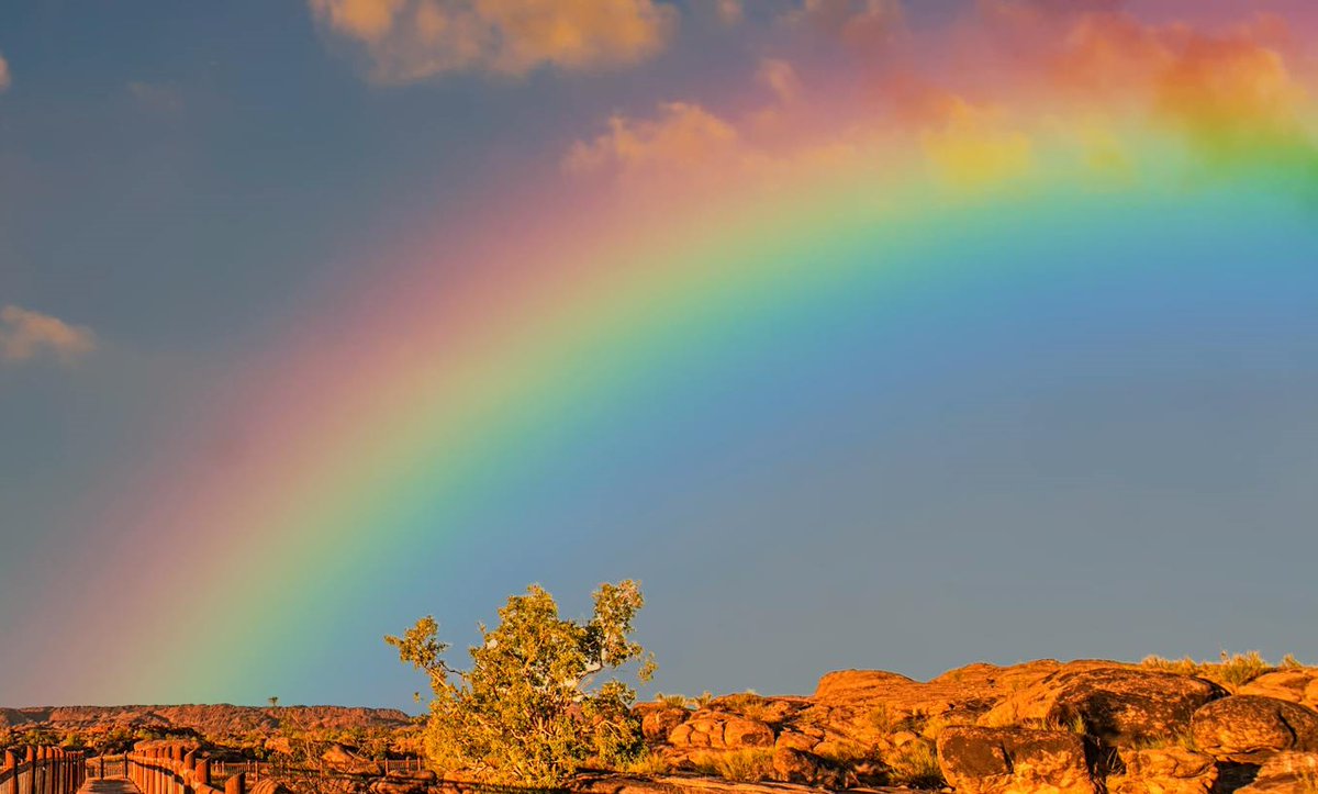 DennyBurk's tweet image. “A woman shall not wear man’s clothing, nor shall a man put on a woman’s clothing; for whoever does these things is an abomination to the LORD your God.”  

-Deuteronomy 22:5