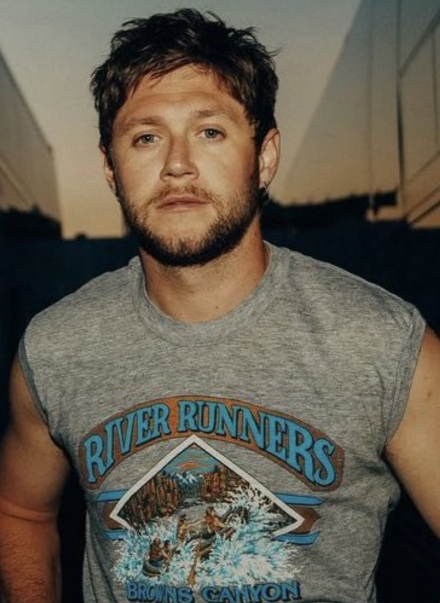 niallsdimples's tweet photo. I’d rather take                         NEAT
my whiskey https://t.co/rMGBXKWolp