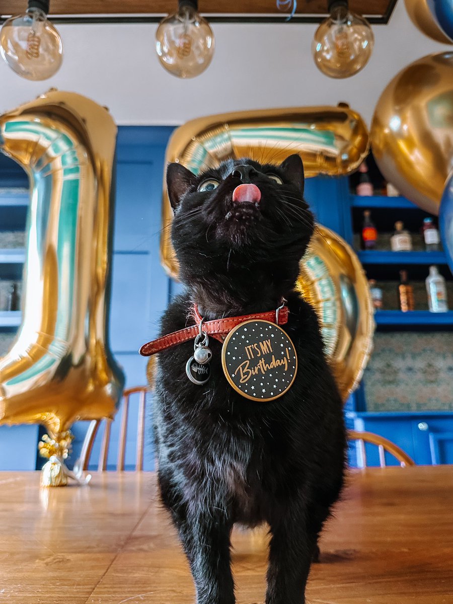 SharAugust's tweet image. Happy 15th birthday to my wonderful Teenie! No general election is going to stop me throwing a party 🥳